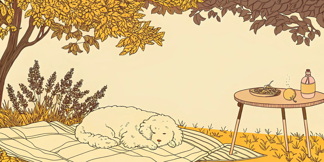 A calm dog rests on a blanket, feeling the benefits of the best organic CBD oil for dogs.