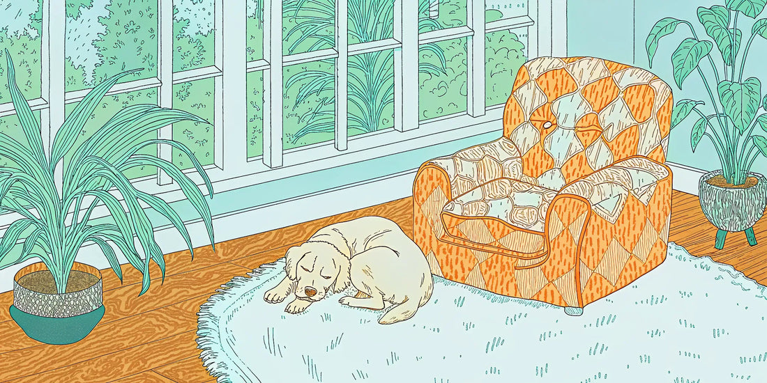 A peaceful dog rests after its owner chose to buy CBG drops for dogs.