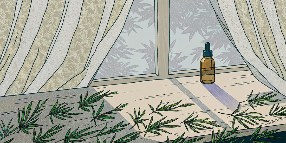 A cannabis tincture bottle and cannabis leaves on a sunny windowsill.