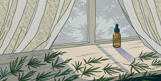 A cannabis tincture bottle and cannabis leaves on a sunny windowsill.