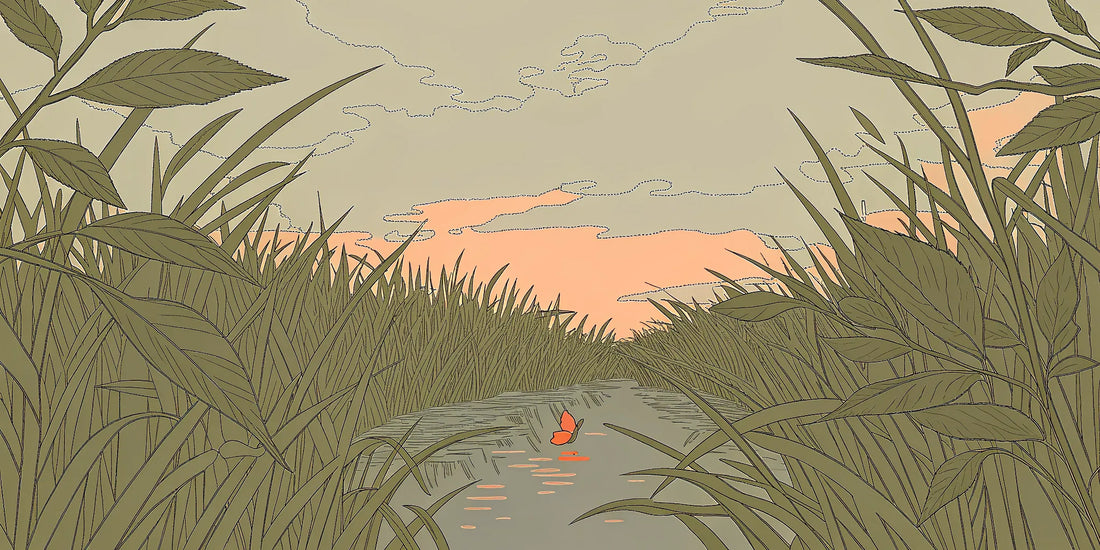 CBD and CBG oil for inflammation, shown as a butterfly over calm water for natural, serene relief.