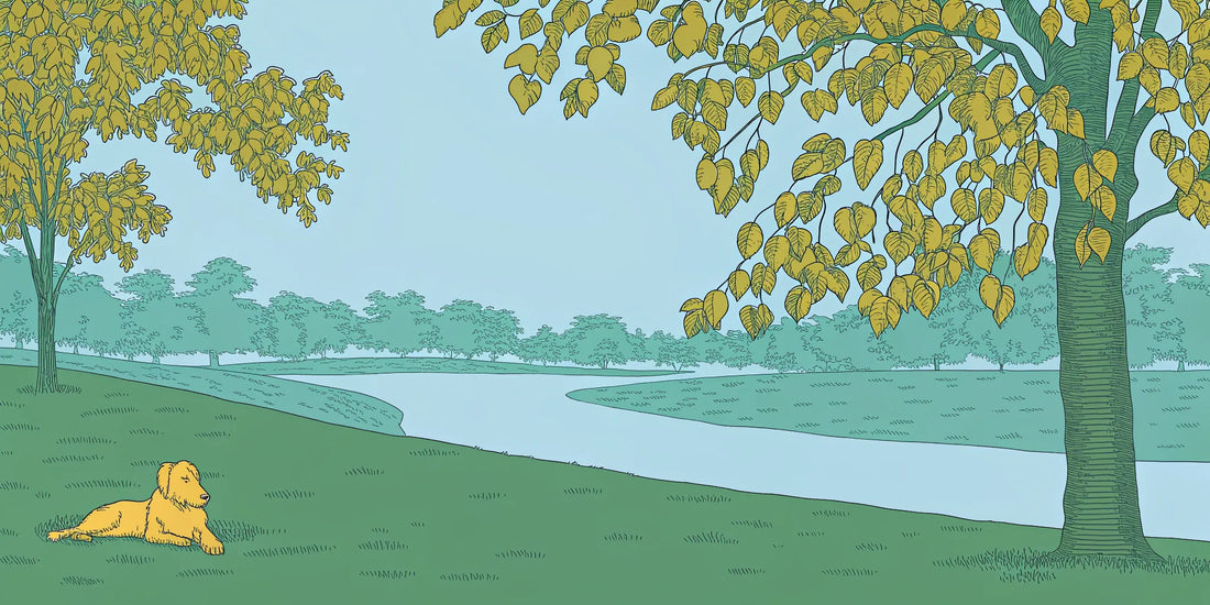 A calm dog relaxing in a park, enjoying the benefits of CBD oil for dogs.