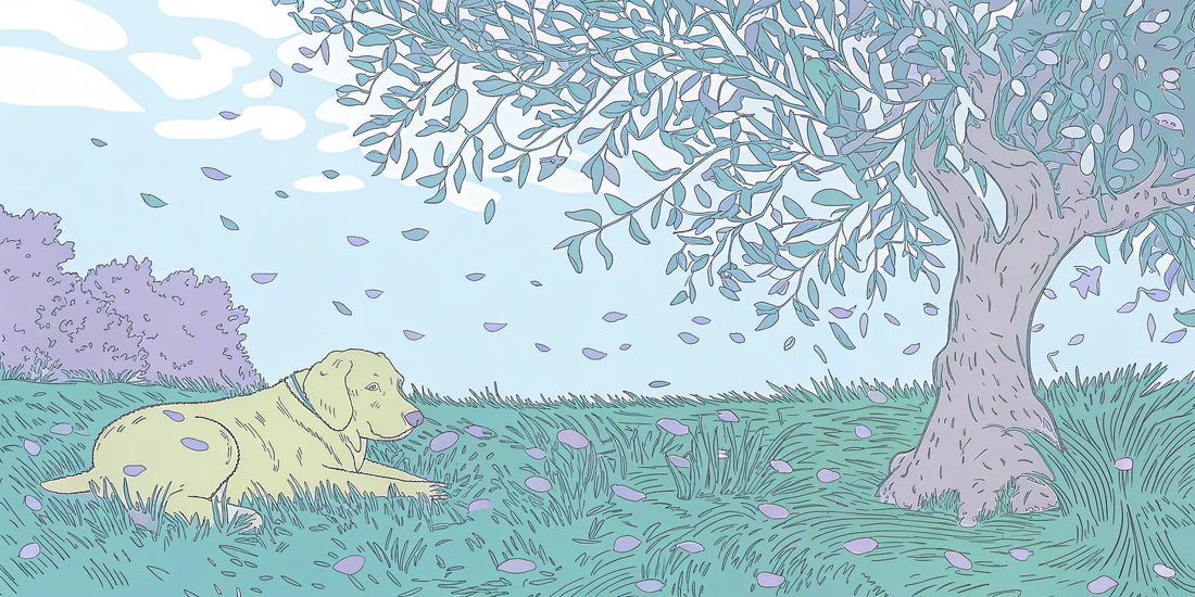 A sleepy dog under an olive tree, a potential side effect of CBD olive oil.