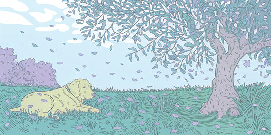 A sleepy dog under an olive tree, a potential side effect of CBD olive oil.