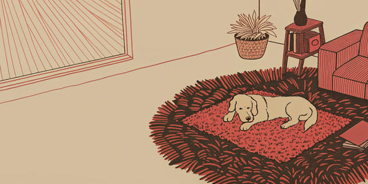 A comfortable dog finding joint relief and better mobility with CBG.