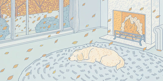 A calm dog resting indoors, finding relief from firework anxiety with the right CBD dosage.