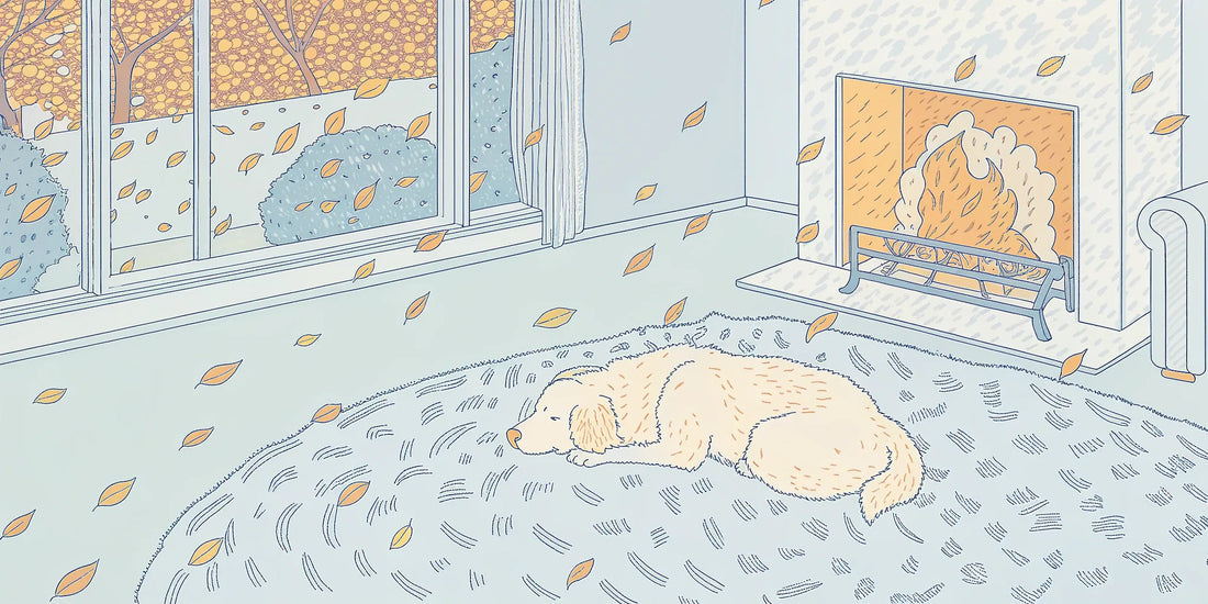 A calm dog resting indoors, finding relief from firework anxiety with the right CBD dosage.