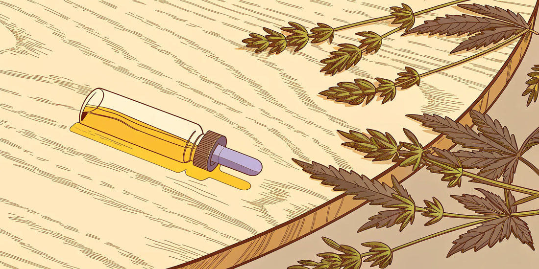 A dropper bottle of THC CBD oil for a simple guide to microdosing.
