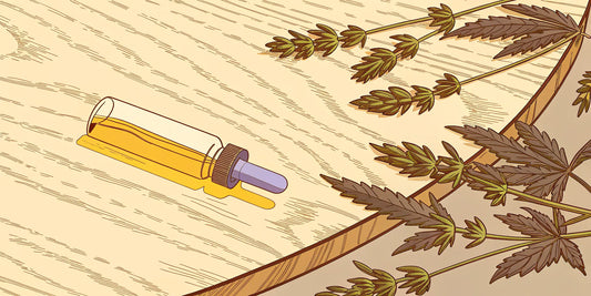 A dropper bottle of THC CBD oil for a simple guide to microdosing.
