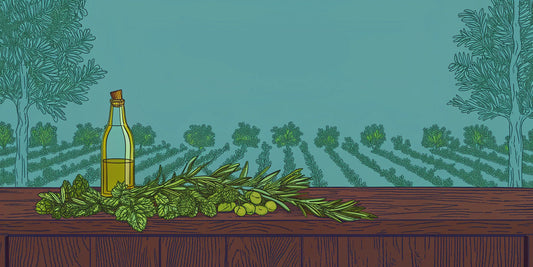 THC and CBD infused olive oil for wellness in a bottle with fresh olives and herbs.