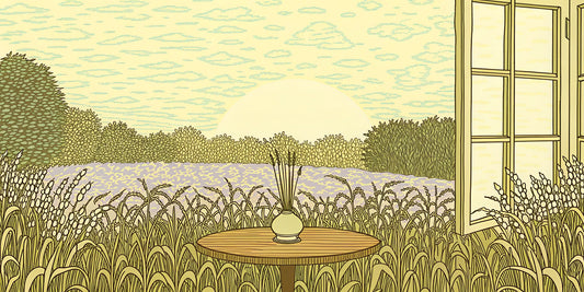 A sunrise symbolizing clarity on the question of whether CBN is legal.