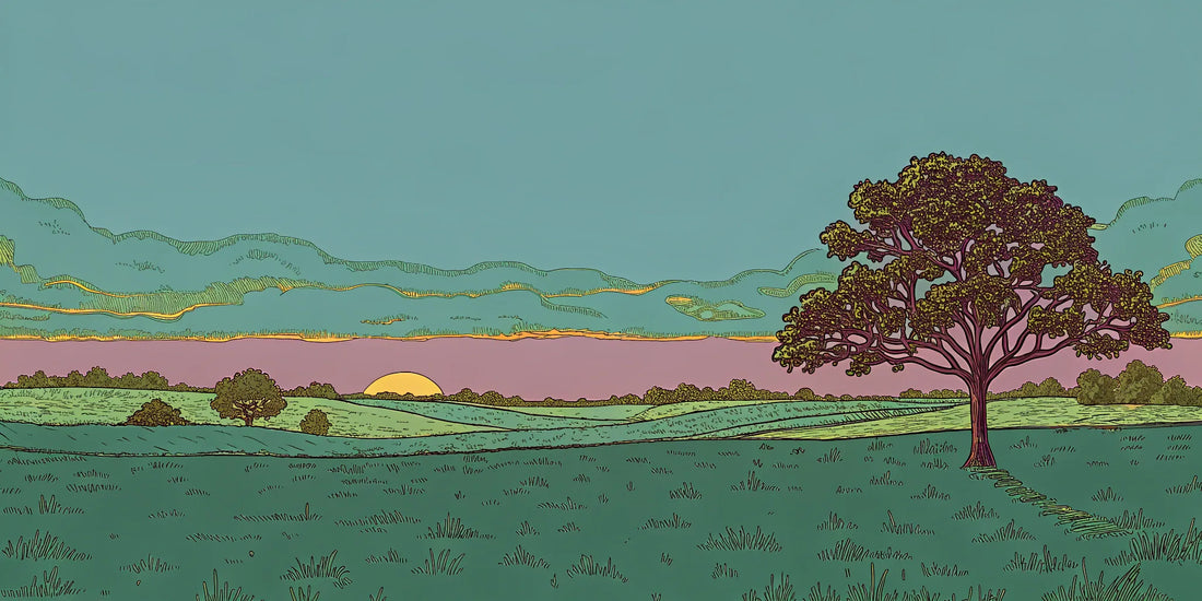 A Texas landscape at sunset, representing the legal status of Delta 9 in Texas.