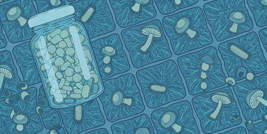A jar of mushroom gummies surrounded by different functional mushrooms.