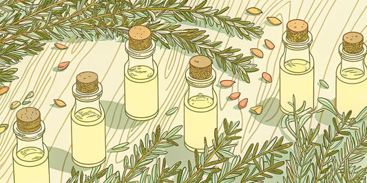 A selection of the best carrier oils for THC with herbs ready for infusion.