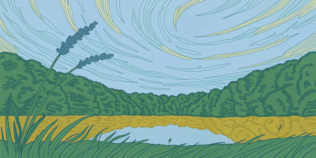 A calm landscape representing the wellness benefits found in a CBN benefits chart.