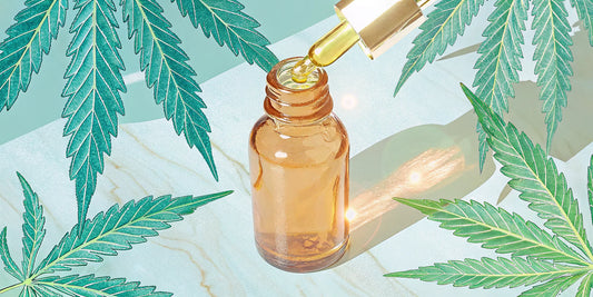 Best CBD oil for inflammation in an amber dropper bottle with hemp leaves.