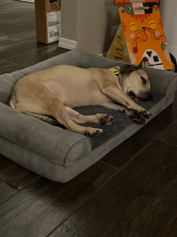 Customer photo for review 2