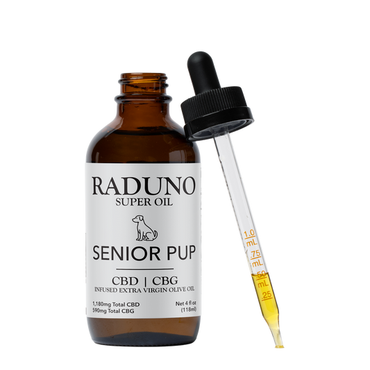 Infused olive oil for senior pups
